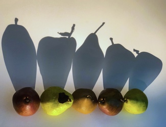 Color Awards Winners and Nominees