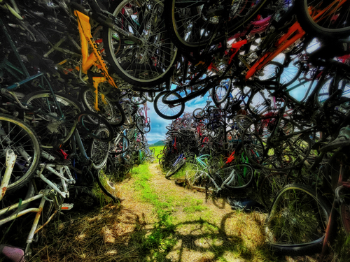 Bikes