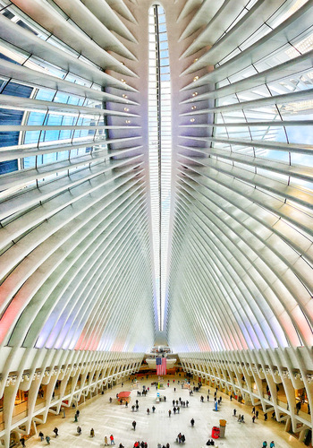 Oculus 