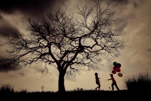 A Beautiful Life