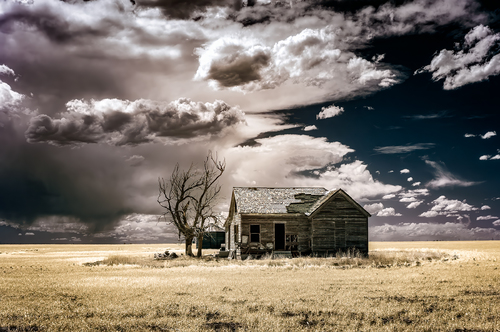 No Place Like Home
