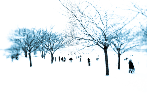 Winter Wonderland