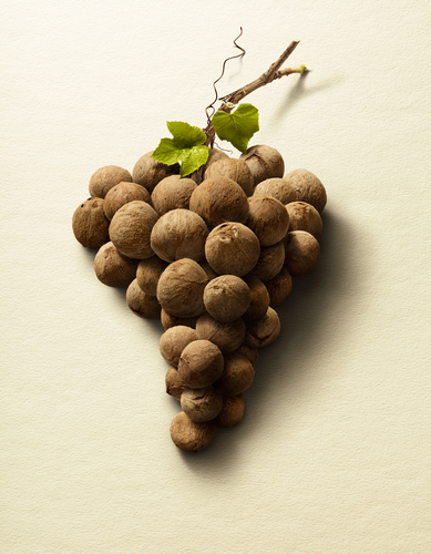 Grape Nuts