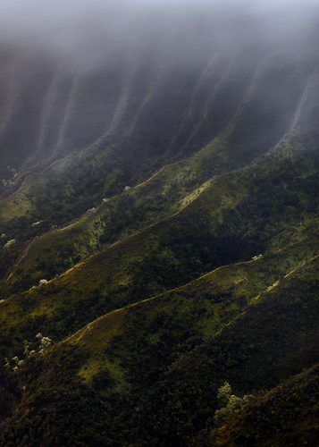 Mist in the Valley