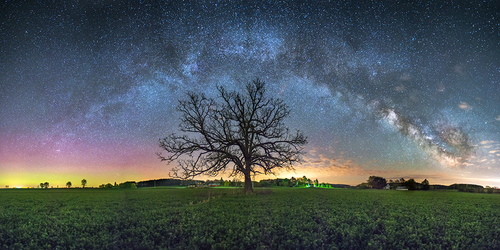 The Tree Of Creation