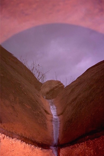 Earth Erotica: Ambrosia 