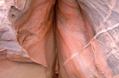 Earth Erotica: Sensual Voluptas