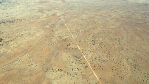 Nevada Desert