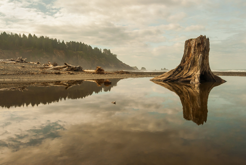 La Push Pools