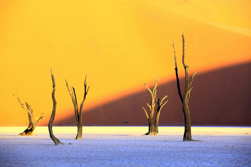 Sunset of Deadvlei