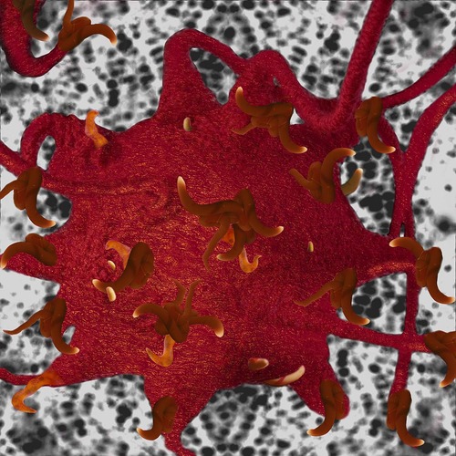 Tenticular Virus