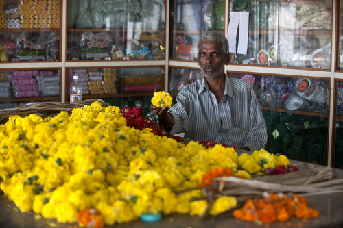 Yellow Carnations