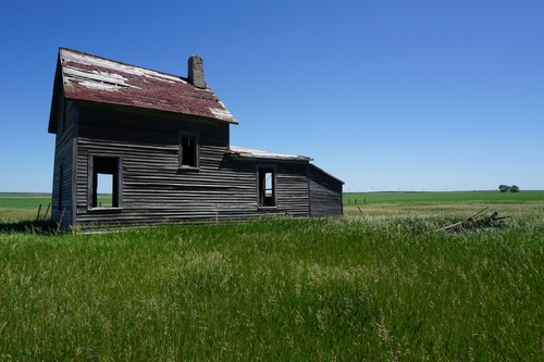 Home on the Range
