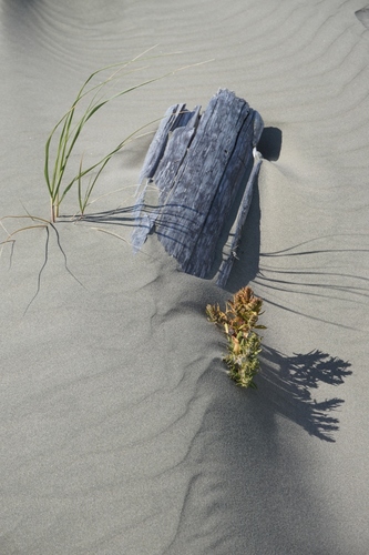Sands of time