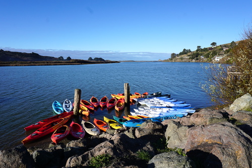 Kayaks