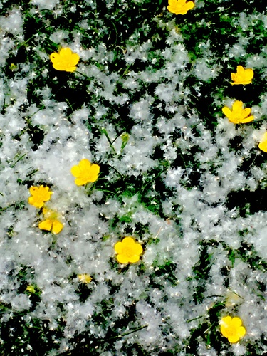 A soft layer
