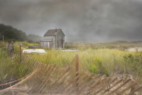 Foggy Morning at the Beach