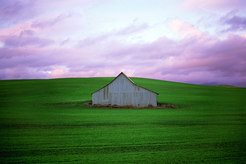 Barn #5