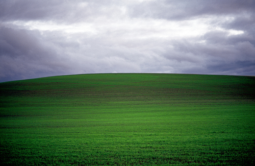 Field #15