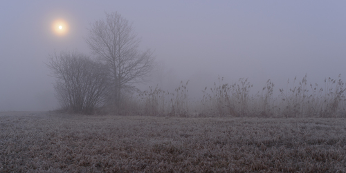 Cold Wakeup