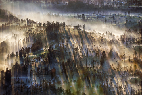 Misty Morning