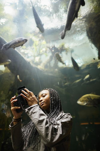 Capturing Life in the Bubble