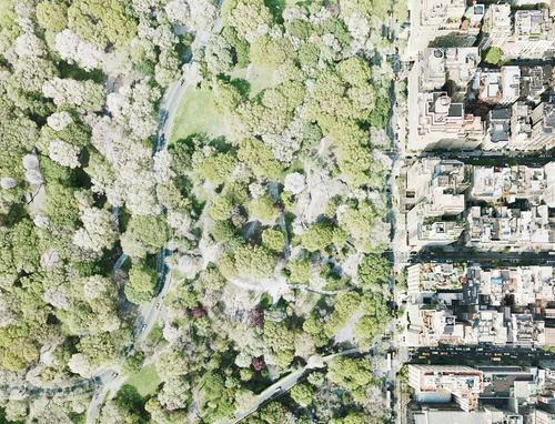 Central Park, Manhattan