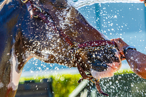 Cool down bath