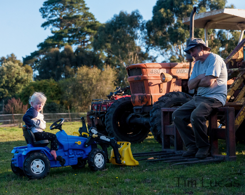 Life on the Farm