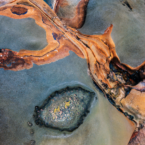 Mesozoic Birthing