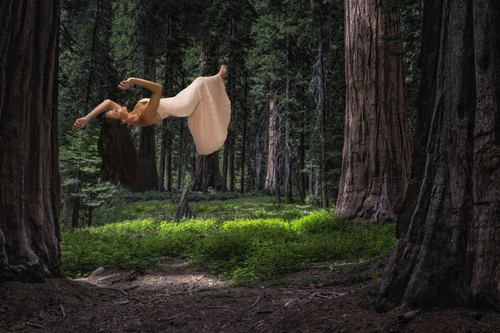 Giant Dreams