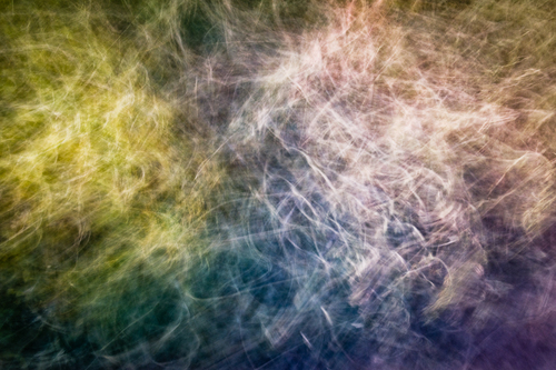 Daydream Fields