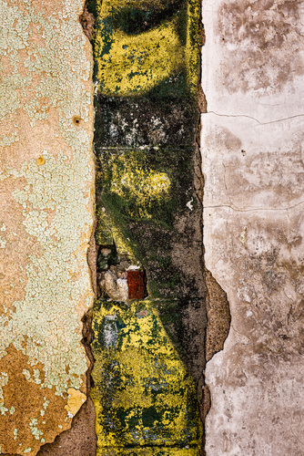 Weathered Reverie #5
