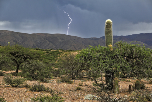 Thunderstorm