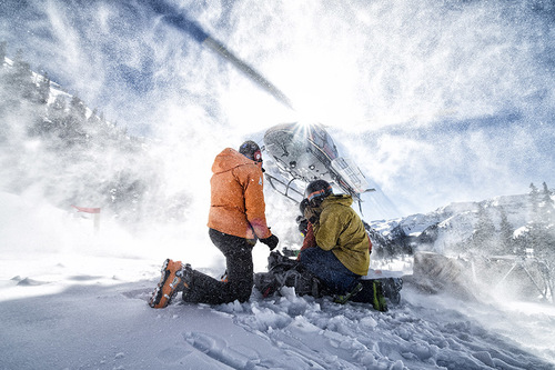 Marmot Campaign