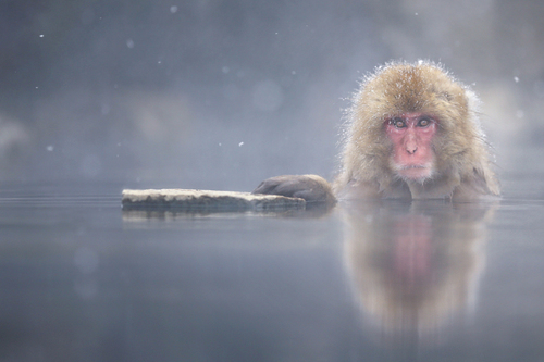 Hot Water