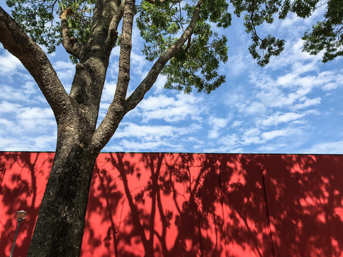 Shadows and Colors