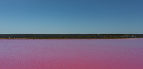 The Pink Lake