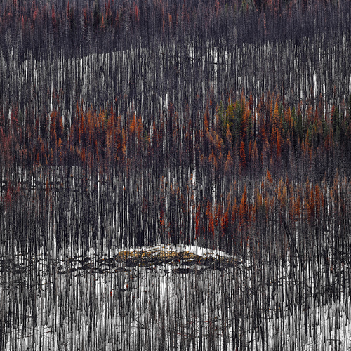 Medicine Lake 2
