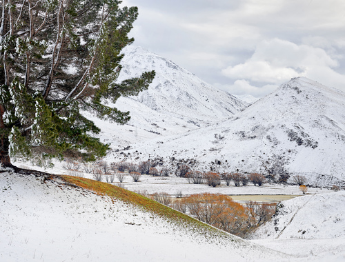 Middlehurst Winter 3