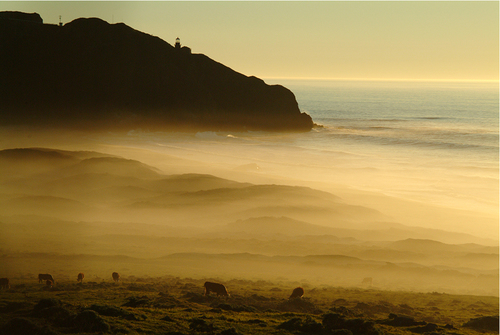 Point Sur - Big Sur, Ca