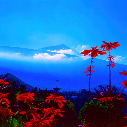 Teide