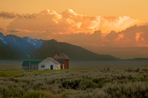 mormon house 