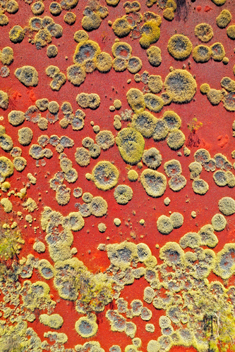 Karijini 006