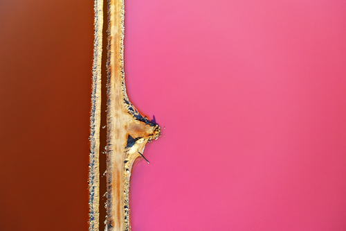 Hutt Lagoon 058
