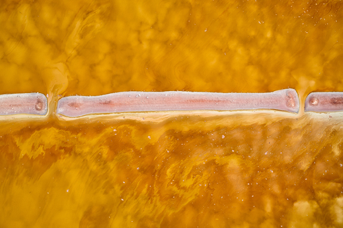 Hutt Lagoon 111