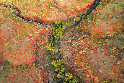 Weano Gorge 091