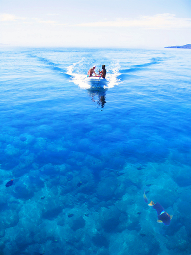 Dingy   2 and Lota fish