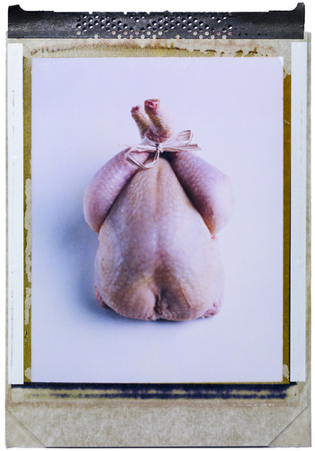 chicken