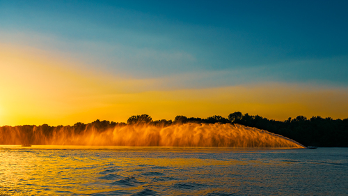 Roostertail 1